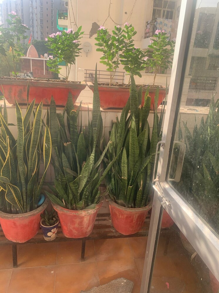 Balcony, piyush-heights 2 Bedroom 1268 Sq.Ft. Apartment In Sector 89 Faridabad 9422208