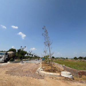 Plot Area in  Plot at Sector 98 – for Sale