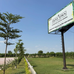 Plot For Sale in Sector 98