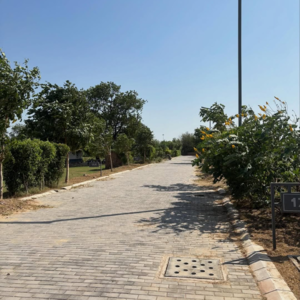 Plot Area in  Plot at Adore Smart City, Sector 97 – for Sale