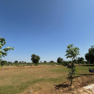 Plot Area in  Plot at Adore Smart City, Sector 97 – for Sale