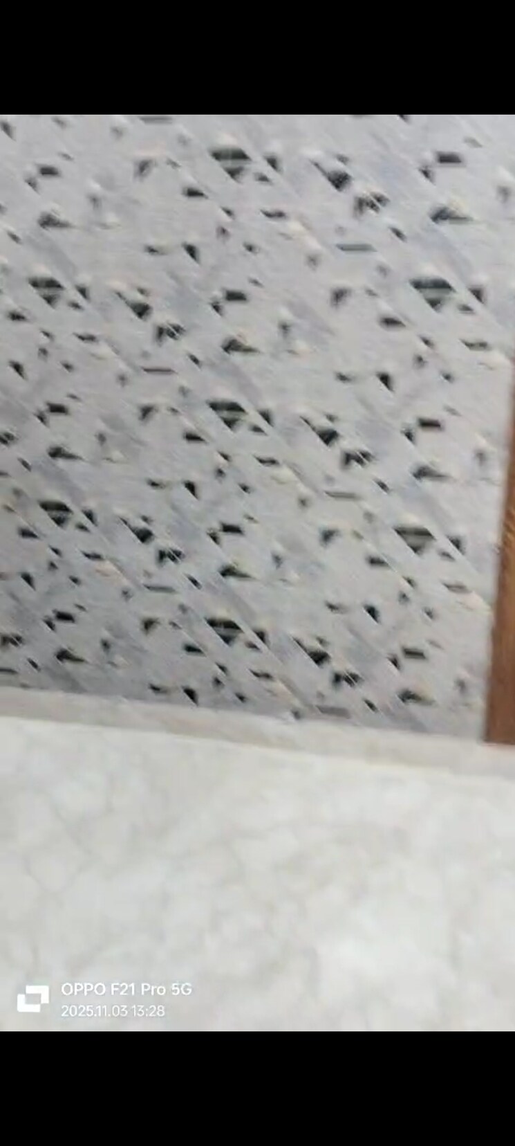 Other, pitampura 2 Bedroom 900 Sq.Ft. Builder Floor In Pitampura Delhi 9423668