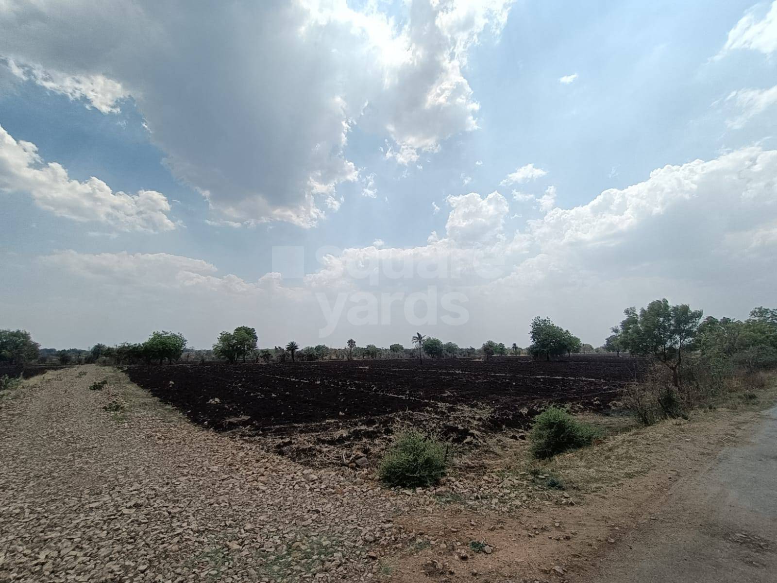 Plot For Sale in Sangareddy