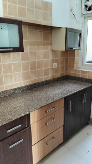 Kitchen in 3 BHK Apartment at Amrapali Eden Park, Sector 50 – for Rent