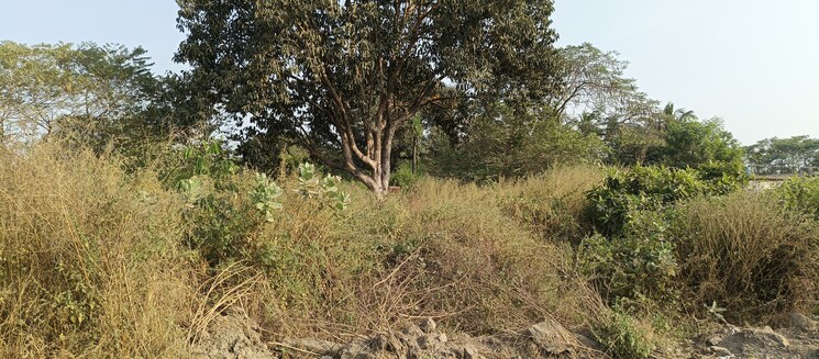 undefined, riddhi-siddhi-apartments-karjat  6600 Sq.Mt. Plot In Karjat Navi Mumbai 9424229