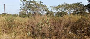 Plot Area in  Plot at Riddhi Siddhi Apartments Karjat, Karjat – for Sale