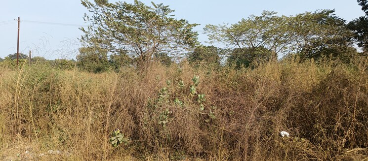 undefined, riddhi-siddhi-apartments-karjat  6600 Sq.Mt. Plot In Karjat Navi Mumbai 9424229