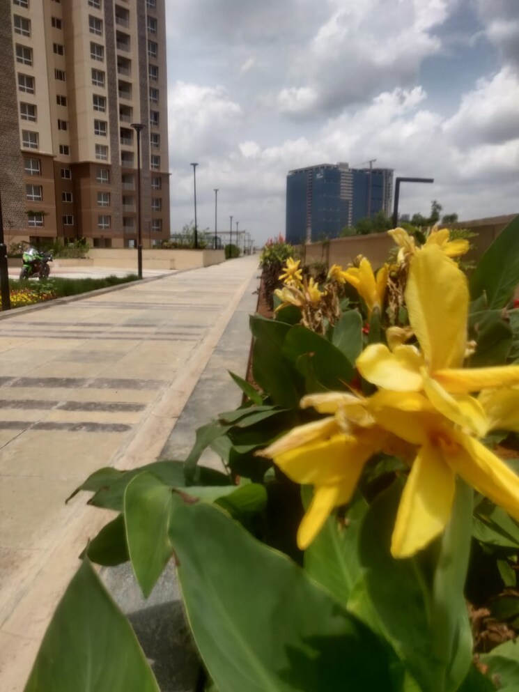  Parking, pacifica-hill-crest 3 Bedroom 1215 Sq.Ft. Apartment In Gachibowli Hyderabad 9424755