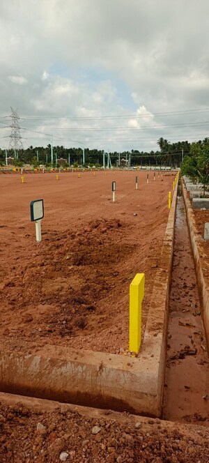 Plot Area in  Plot at Rajanagaram – for Sale