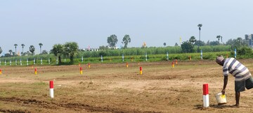  Plot For Sale in Rajanagaram