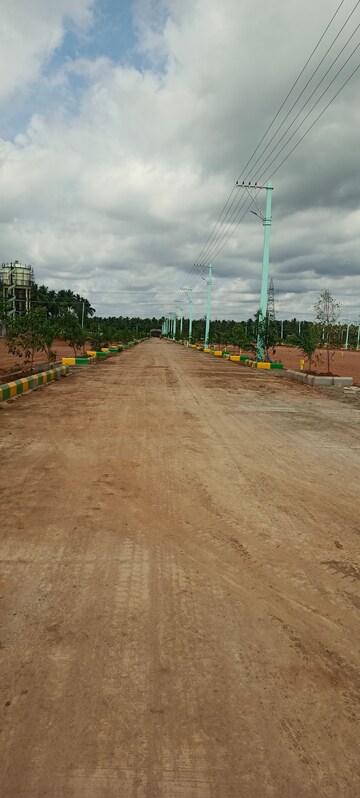 Plot Area in  Plot at Rajanagaram – for Sale