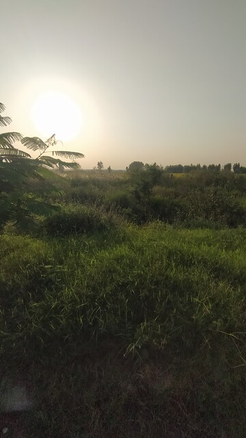  Plot – Garden View at Altus Prime, North Mullanpur - for Sale