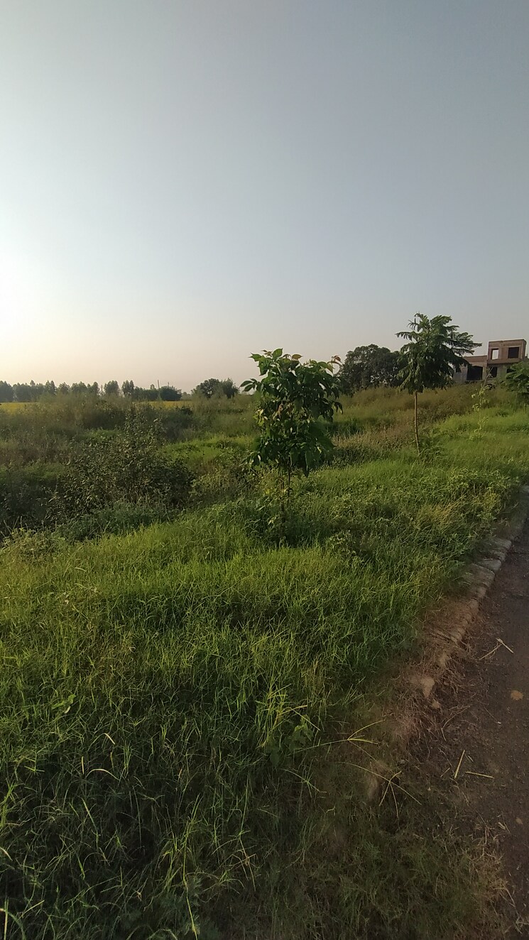 Garden, altus-prime  100 Sq.Yd. Plot In North Mullanpur Chandigarh 9425249