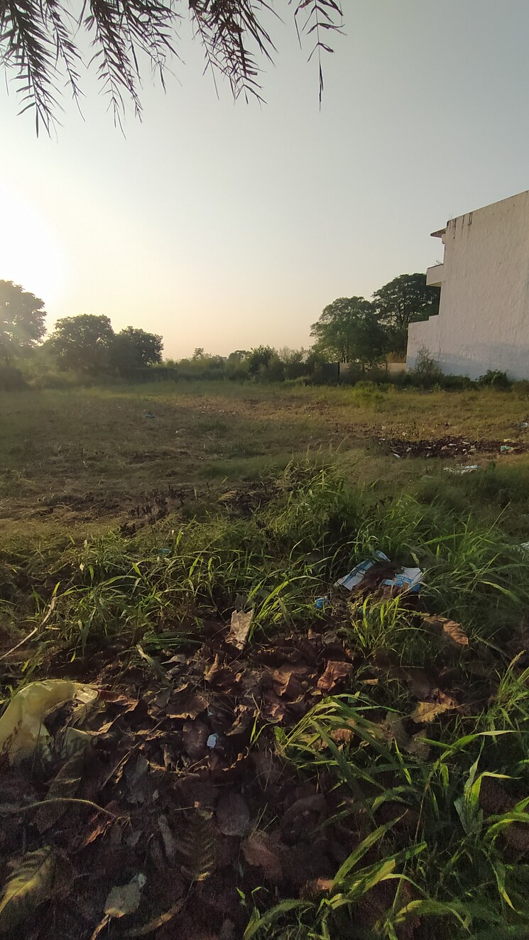 Garden, altus-prime  100 Sq.Yd. Plot In North Mullanpur Chandigarh 9425249