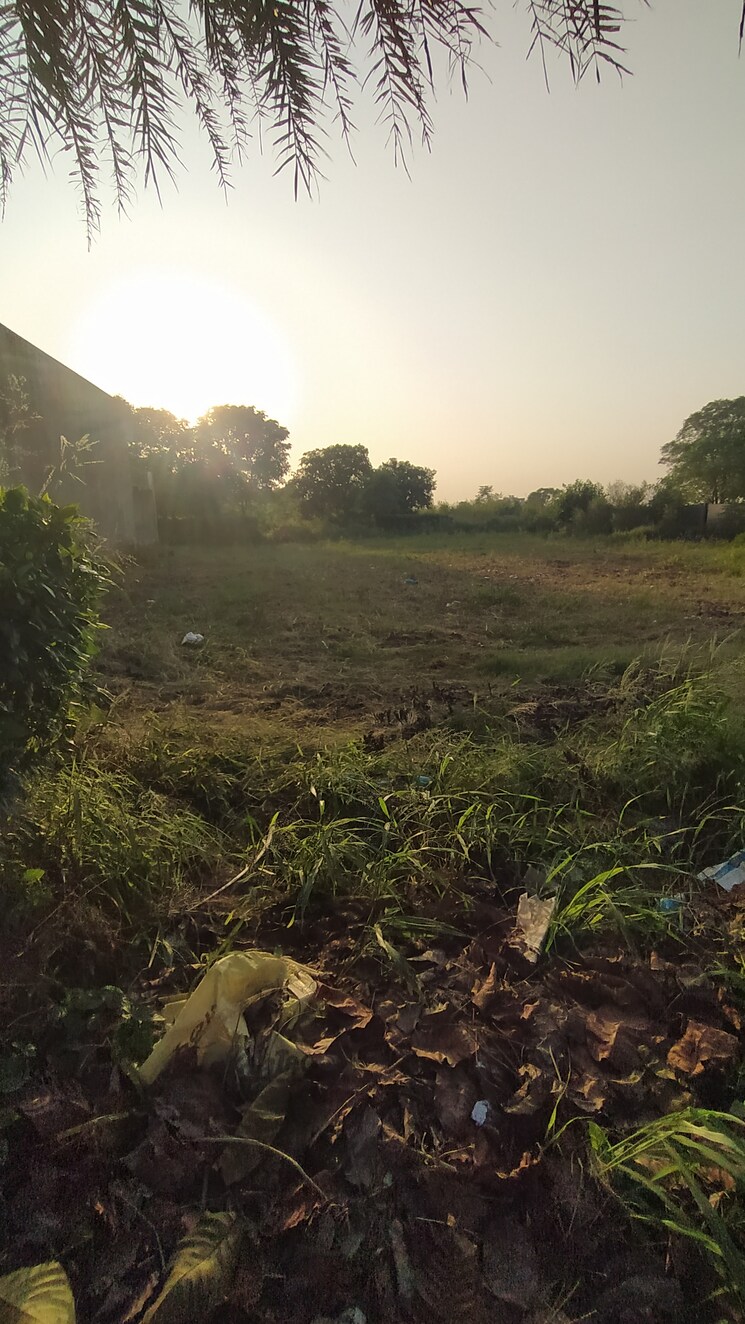 undefined, altus-prime  100 Sq.Yd. Plot In North Mullanpur Chandigarh 9425249