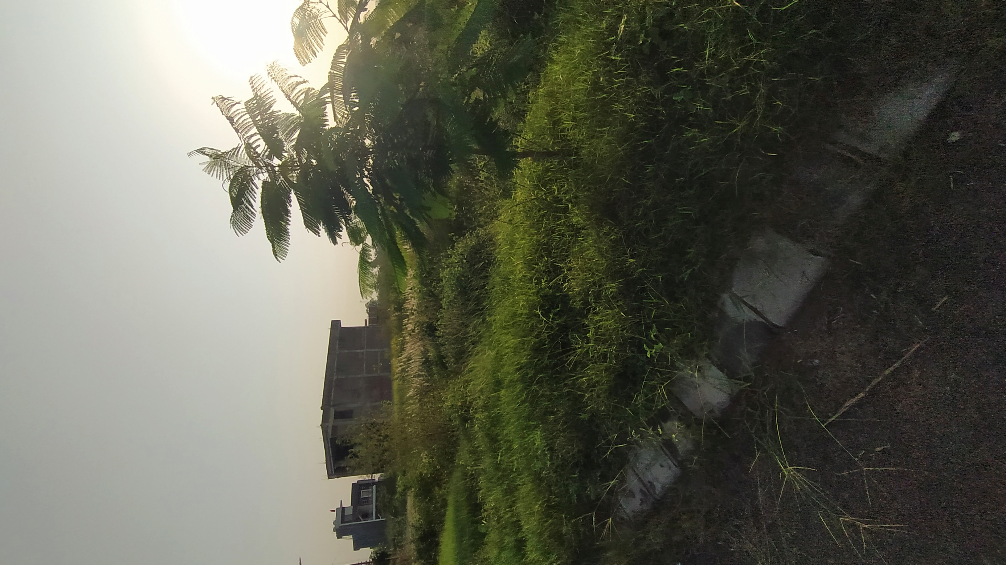Plot For Sale in Altus Prime
