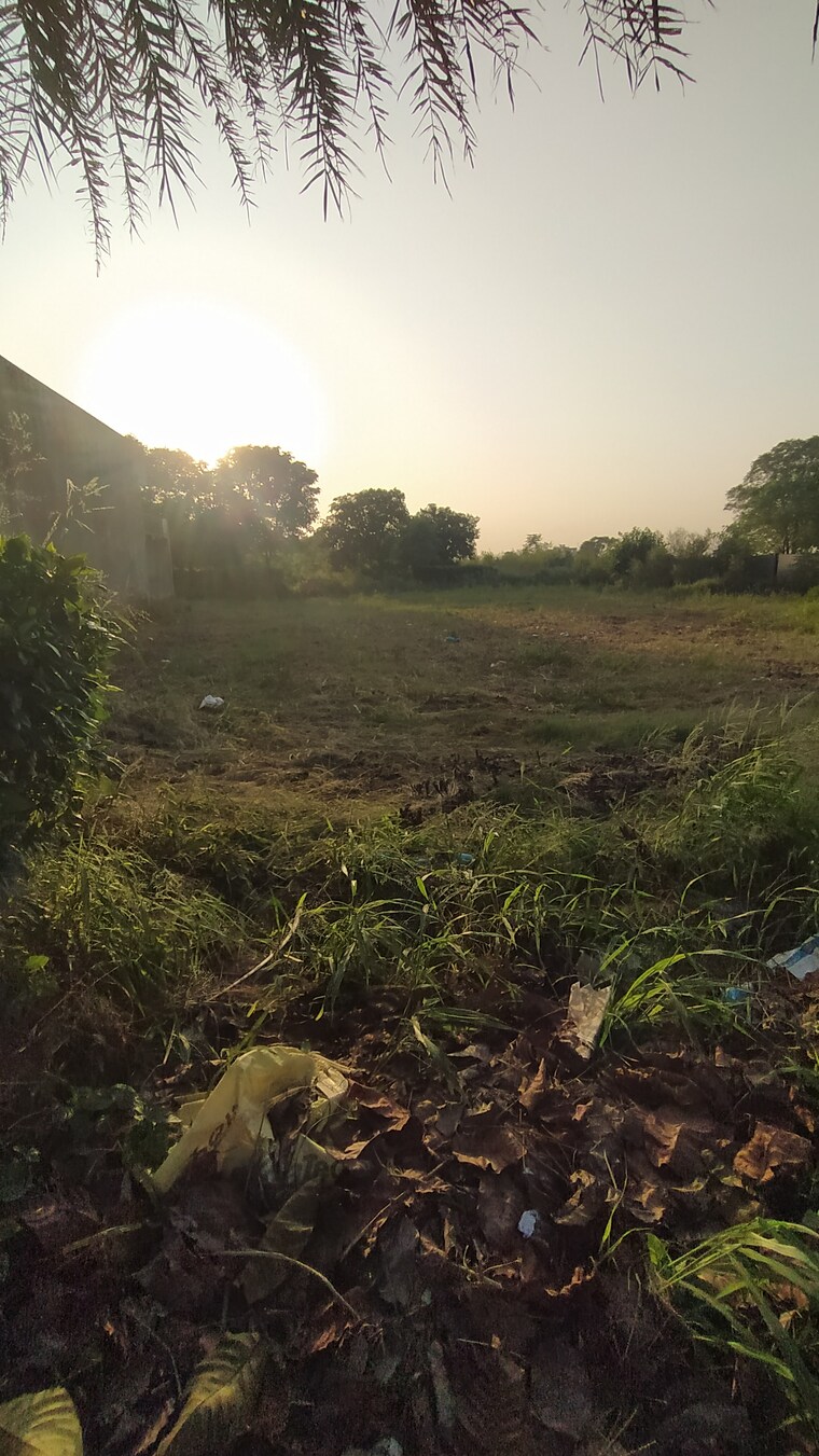 undefined, altus-prime  100 Sq.Yd. Plot In North Mullanpur Chandigarh 9425253