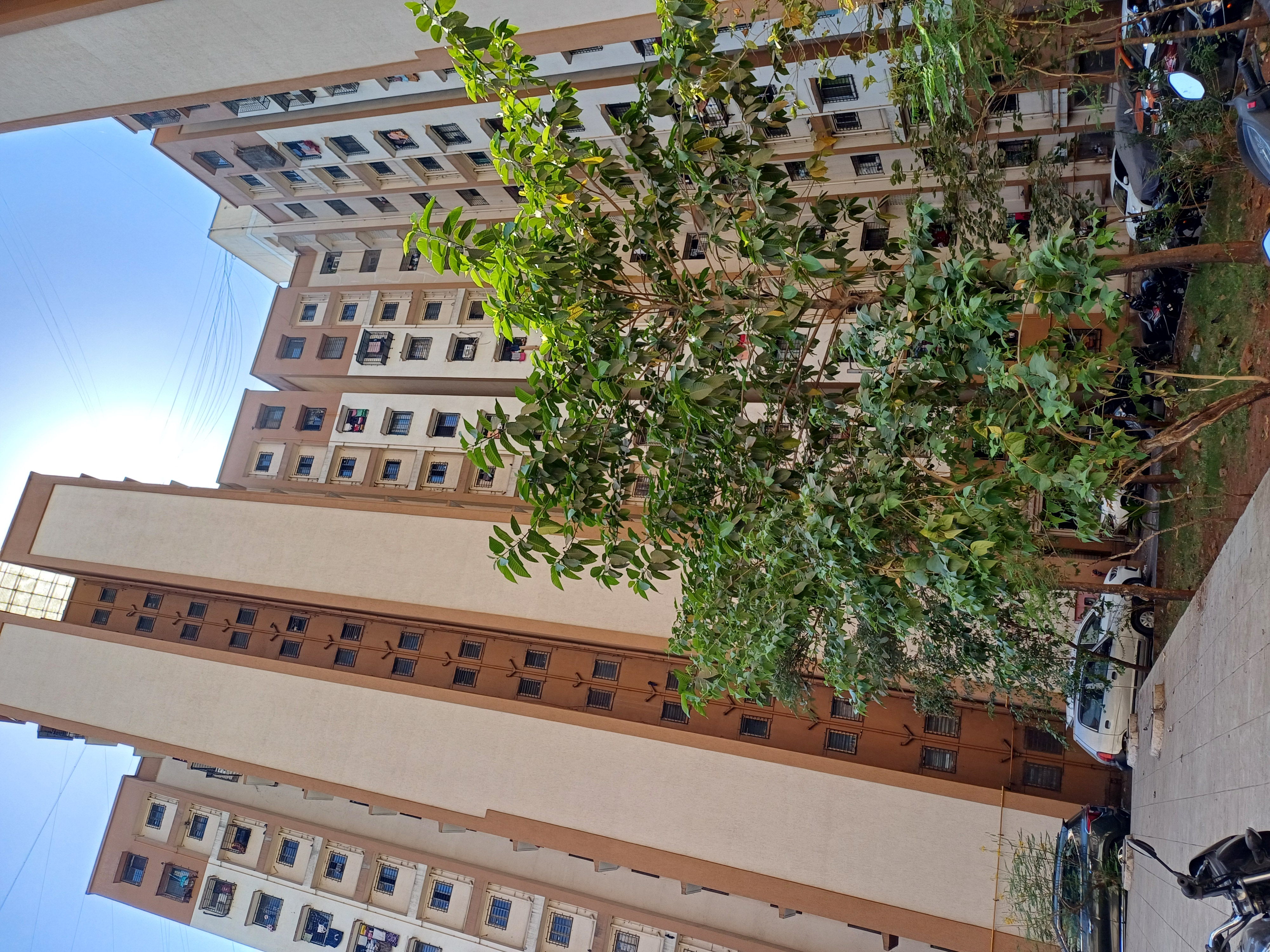 1 BHK Apartment For Rent in Megh Malhar Co-op Housing Society