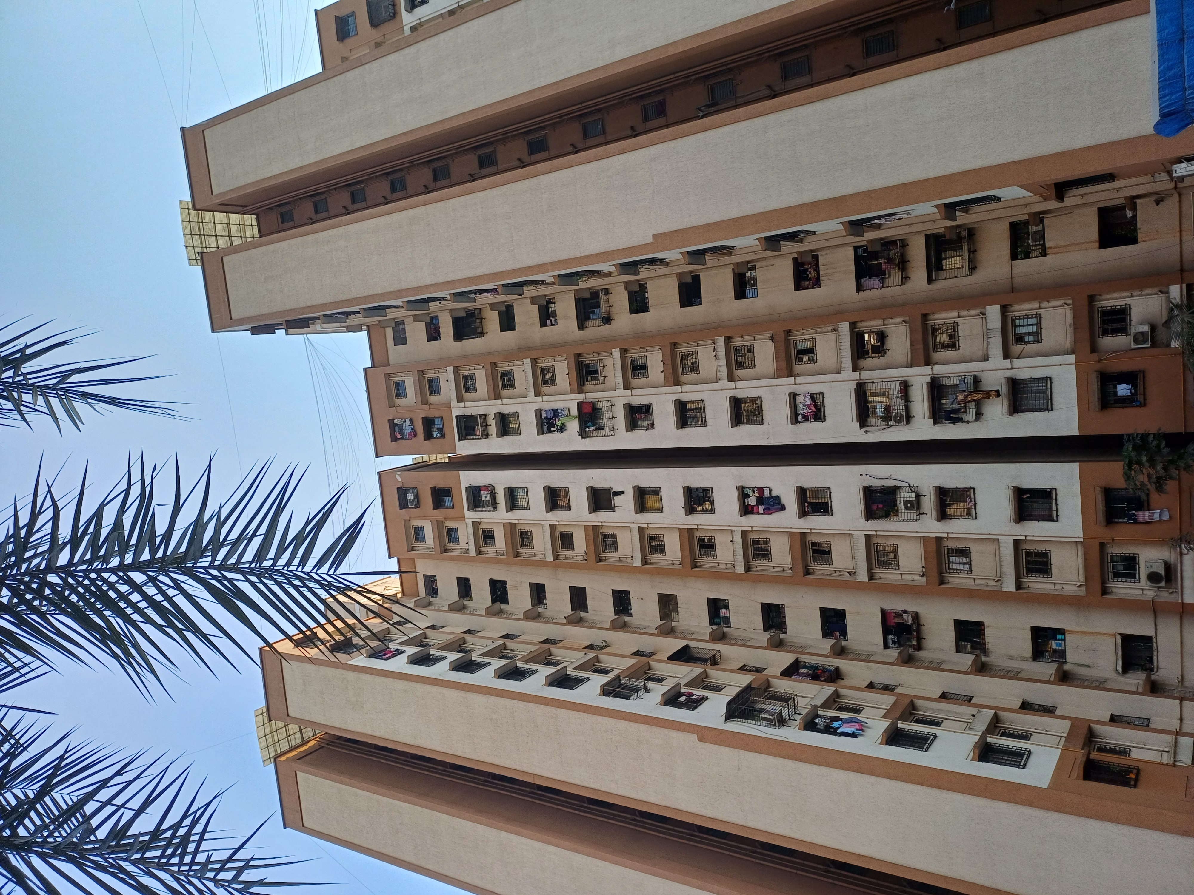 1 BHK Apartment For Rent in Megh Malhar Co-op Housing Society