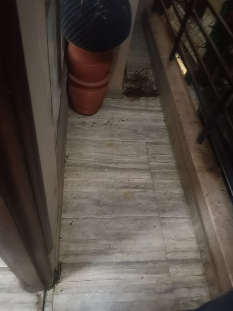 Balcony, panchsheel vihar 3 Bedroom 1215 Sq.Ft. Builder Floor In Panchsheel Vihar Delhi 9425403