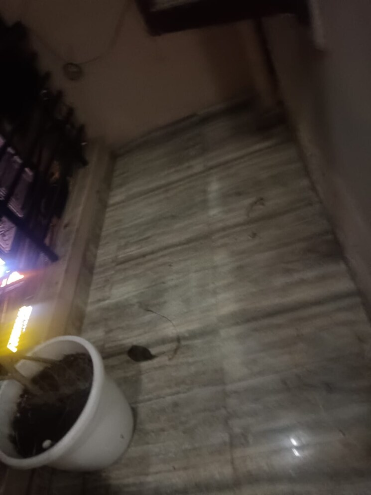  Parking, panchsheel vihar 3 Bedroom 1215 Sq.Ft. Builder Floor In Panchsheel Vihar Delhi 9425403