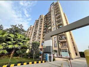 3 BHK Apartment For Sale in Tulip White, Sector 69