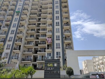 3 BHK Apartment – Exterior View View at Tulip White, Sector 69 - for Sale