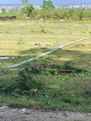 Plot Area in  Plot at Shimla Bypass Road – for Sale