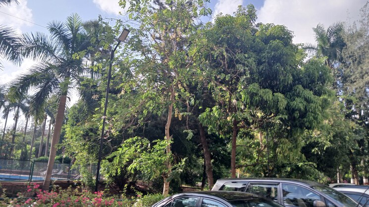 Garden, lokhandwala-whispering-palms 2 Bedroom 930 Sq.Ft. Apartment In Kandivali East Mumbai 9425746