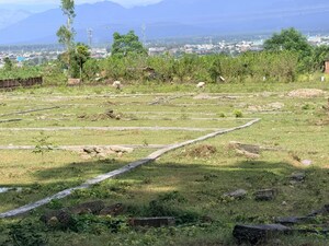 Plot Area in  Plot at Sherpur – for Sale