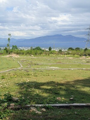 Plot Area in  Plot at Sherpur – for Sale