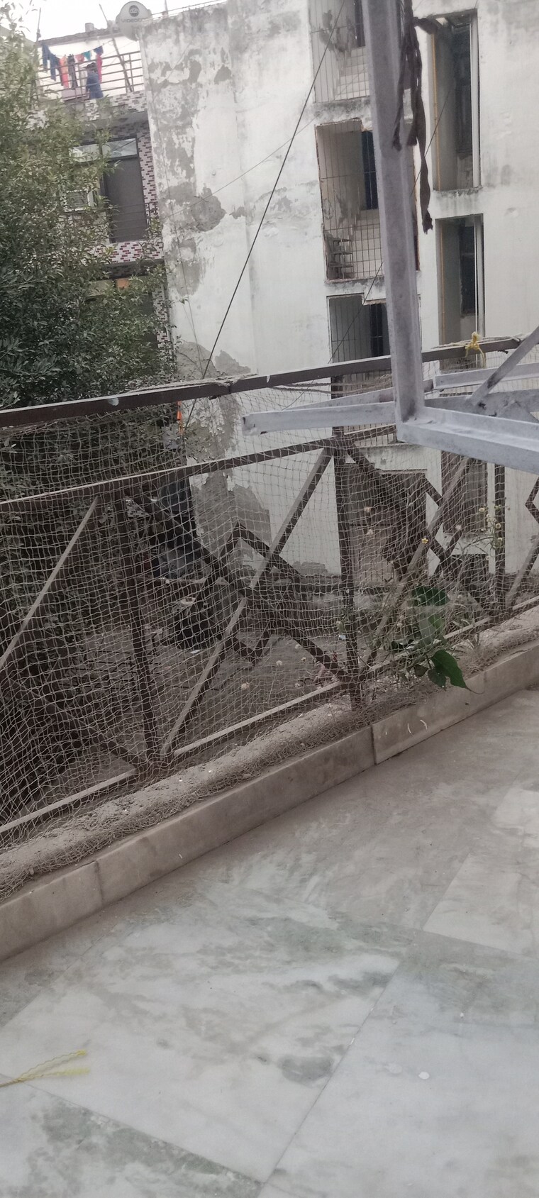 Balcony, saket 1 Bedroom 450 Sq.Ft. Builder Floor In Saket Delhi 9425844