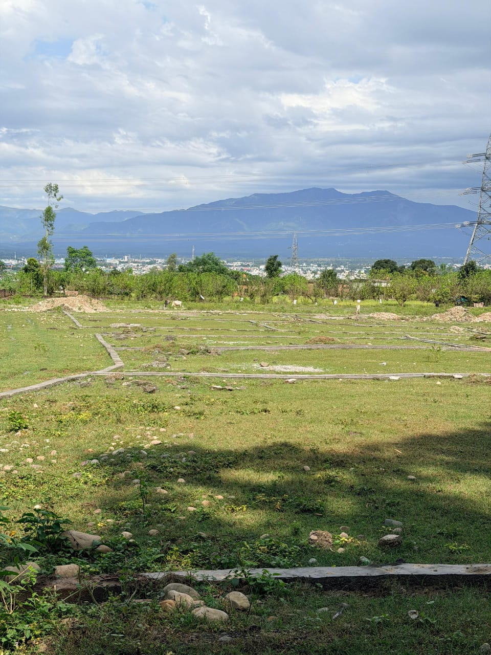 Plot For Sale in Sherpur