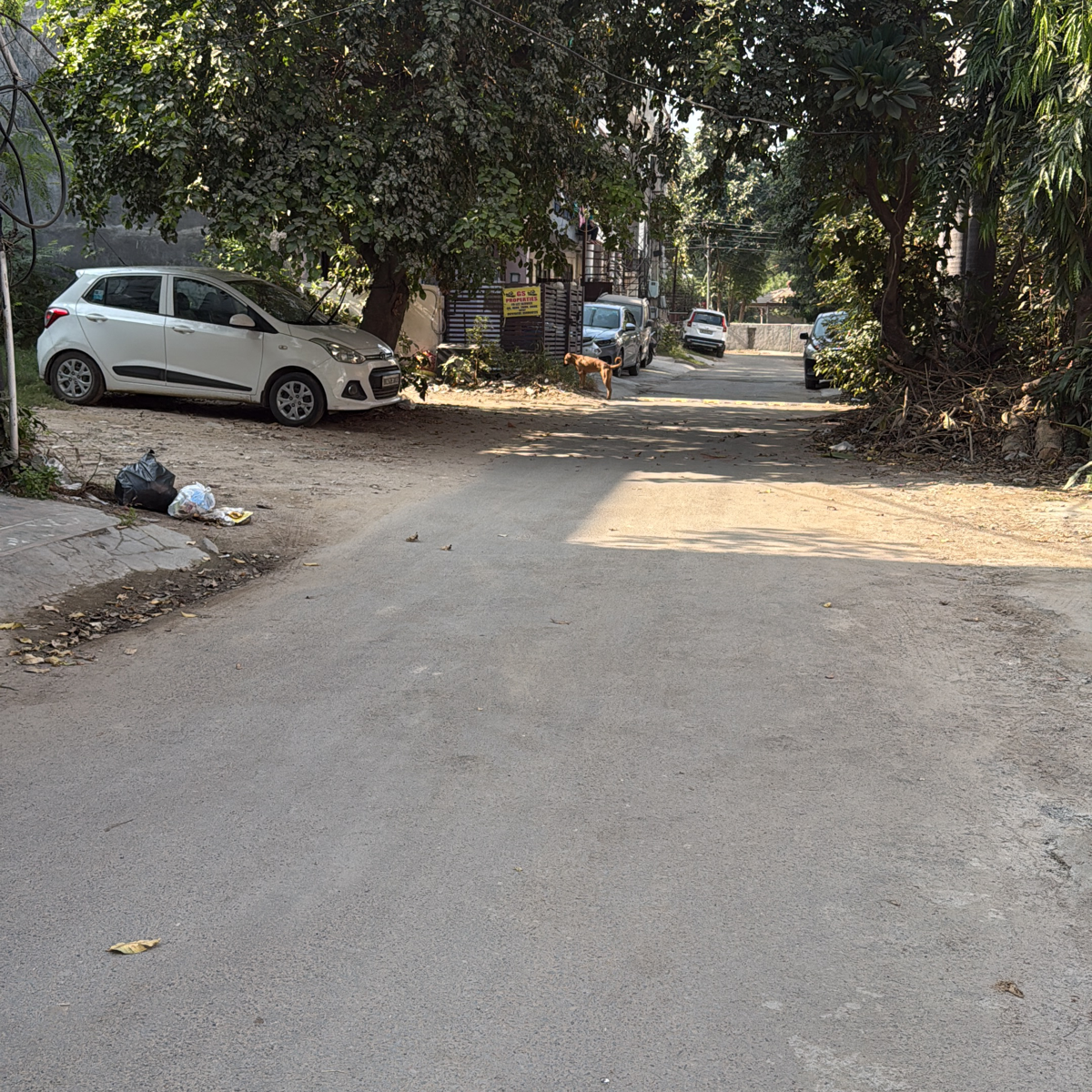 2.5 BHK 1000 Sq.Ft. Builder Floor in Dharam Flats