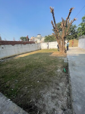 2 BHK Independent House For Rent in Sector 21d
