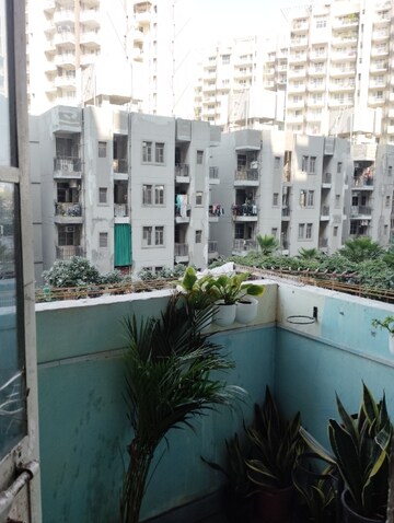 2 BHK Apartment For Rent in Signature Global Signum 107, Sector 107