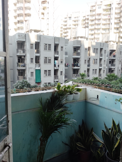 2 BHK + Pooja Room Apartment For Rent in Signature Global Signum 107