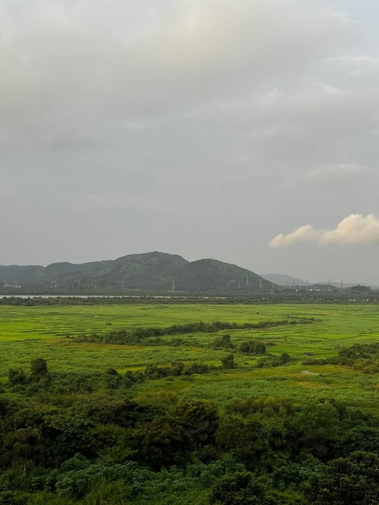 Exterior View, lodha-splendora 3 Bedroom 871 Sq.Ft. Apartment In Ghodbunder Road Thane 9426204