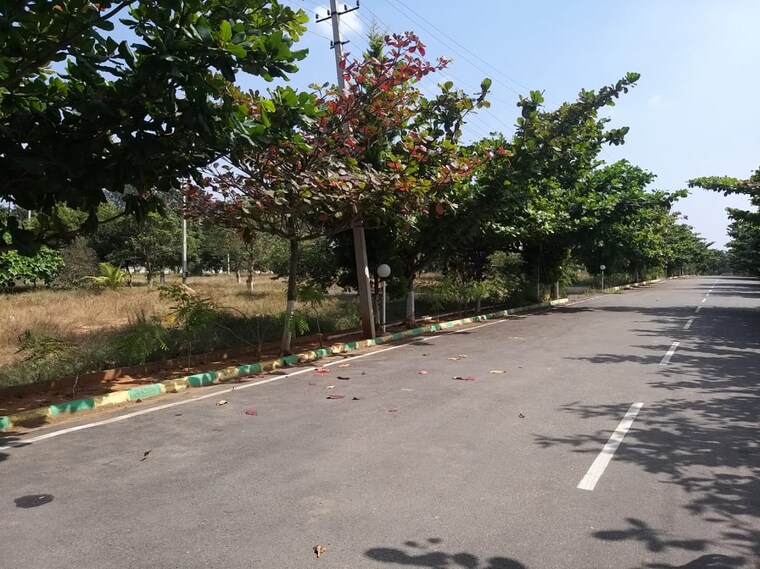 undefined, marsur  1600 Sq.Yd. Plot In Marsur Bangalore 9426277