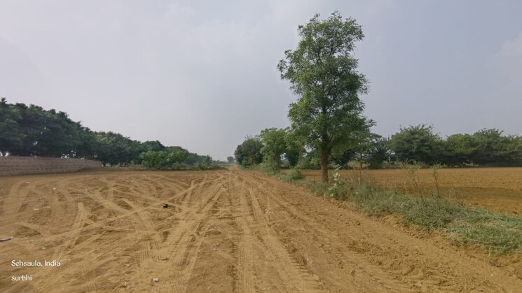 undefined, sohna road Commercial Land 605 Sq.Yd. In Sohna Road Gurgaon 9426282