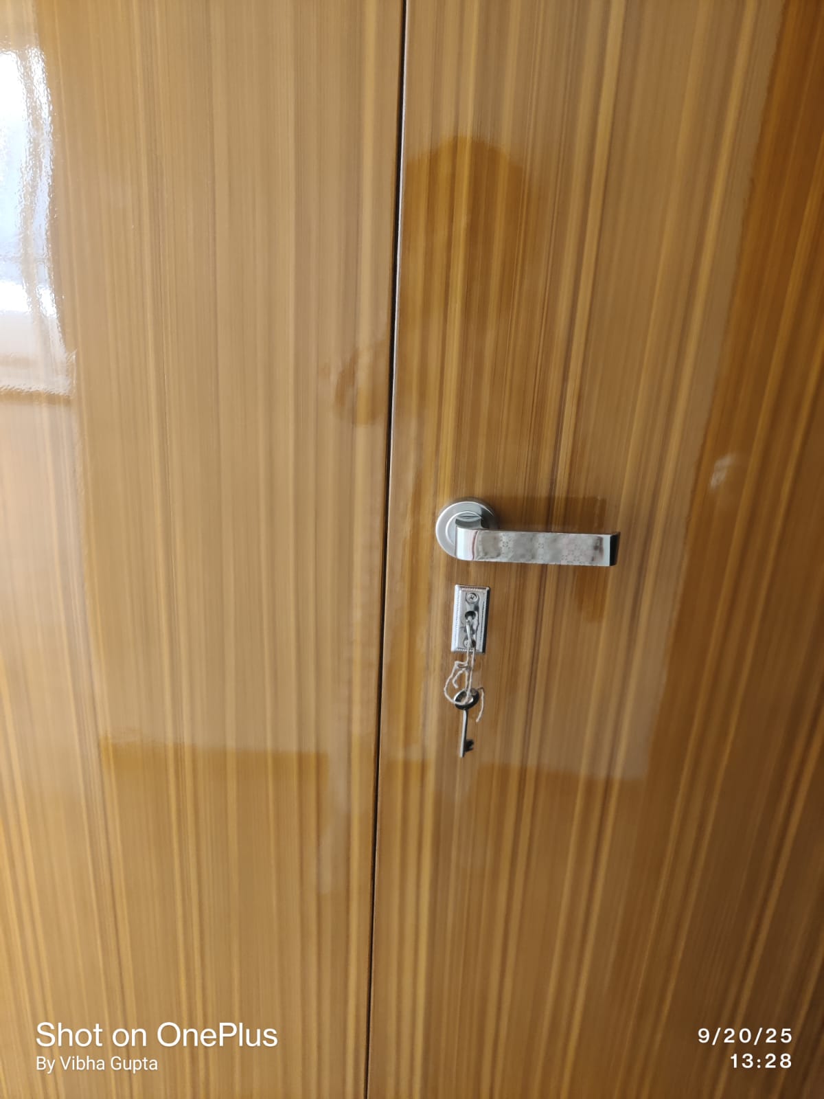 3 BHK Apartment For Rent in Ansal Crown Heights