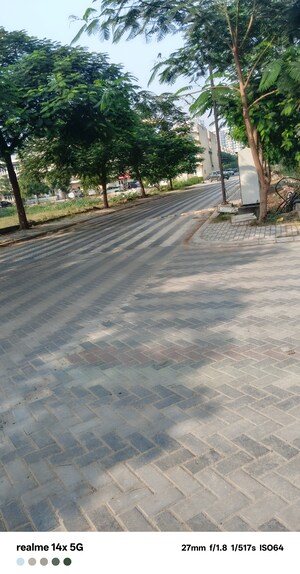  Plot – Exterior View View at TDI The Grand Retreat, Sector 88 - for Sale