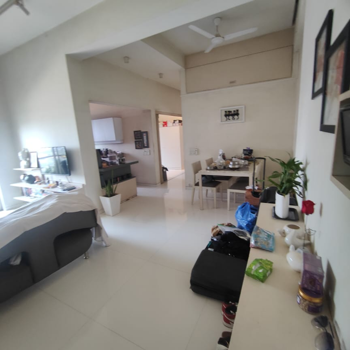 3 BHK 1600 Sq.Ft. Apartment in Evershine Greens