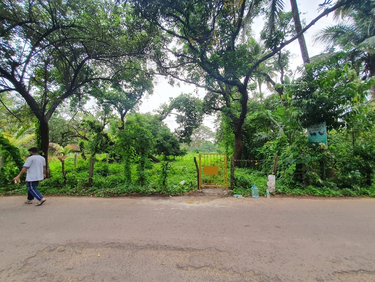 Exterior View, malvan  13610 Sq.Ft. Plot In Malvan Sindhudurg 9426666