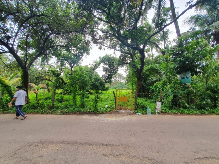Exterior View, malvan  13610 Sq.Ft. Plot In Malvan Sindhudurg 9426666