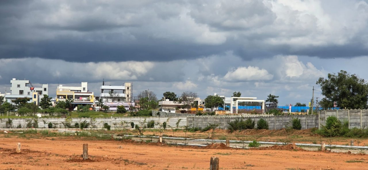 Plot For Sale in Peddatupra