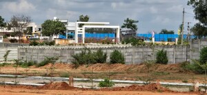  Plot – Exterior View View at Peddatupra - for Sale