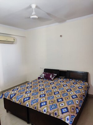 3 BHK Apartment For Rent in Maya Garden City, Lohgarh