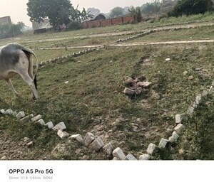 Plot Area in  Plot at Kanchan Vihar, Dlf Ankur Vihar – for Sale