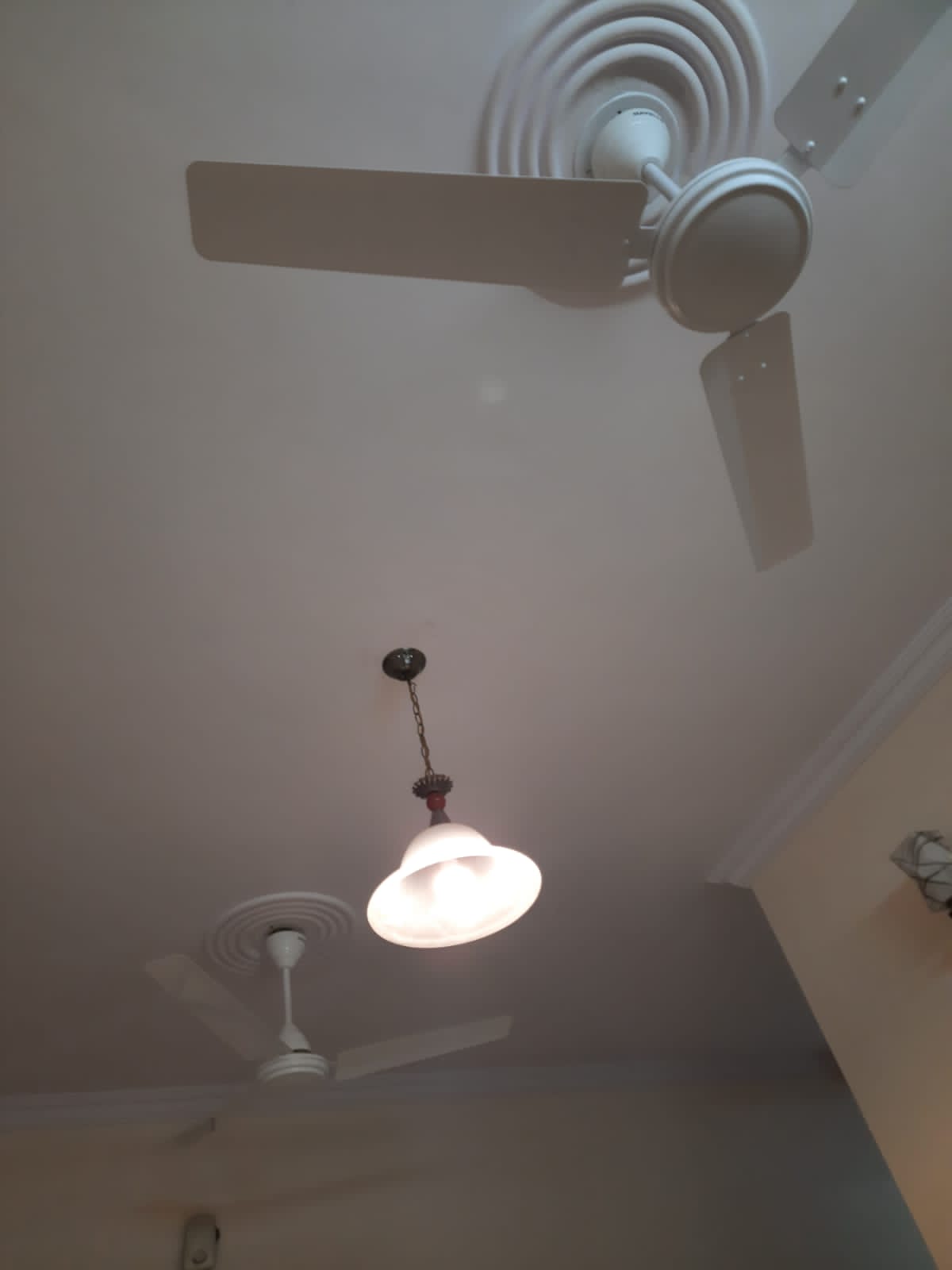 1.5 BHK Builder Floor For Rent in Partap Nagar Mayur Vihar 